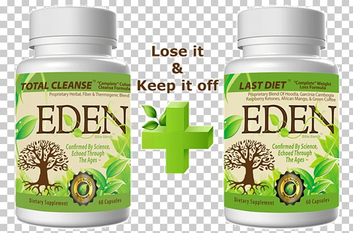 Dietary Supplement Dog Piglet Cat Herbalism PNG, Clipart, Animals, Cat, Combo Offer, Diet, Dietary Supplement Free PNG Download