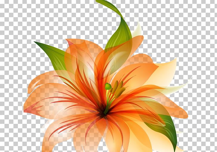 Flower Desktop Orange Petal PNG, Clipart, Blue, Color, Cut Flowers, Desktop Wallpaper, Floral Design Free PNG Download