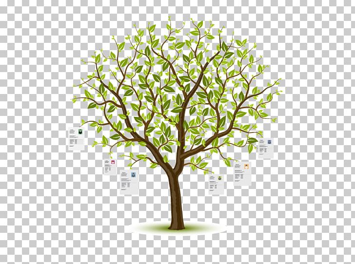 Graphics Illustration PNG, Clipart, Branch, Computer Wallpaper, Drawing, Leaf, Nature Free PNG Download