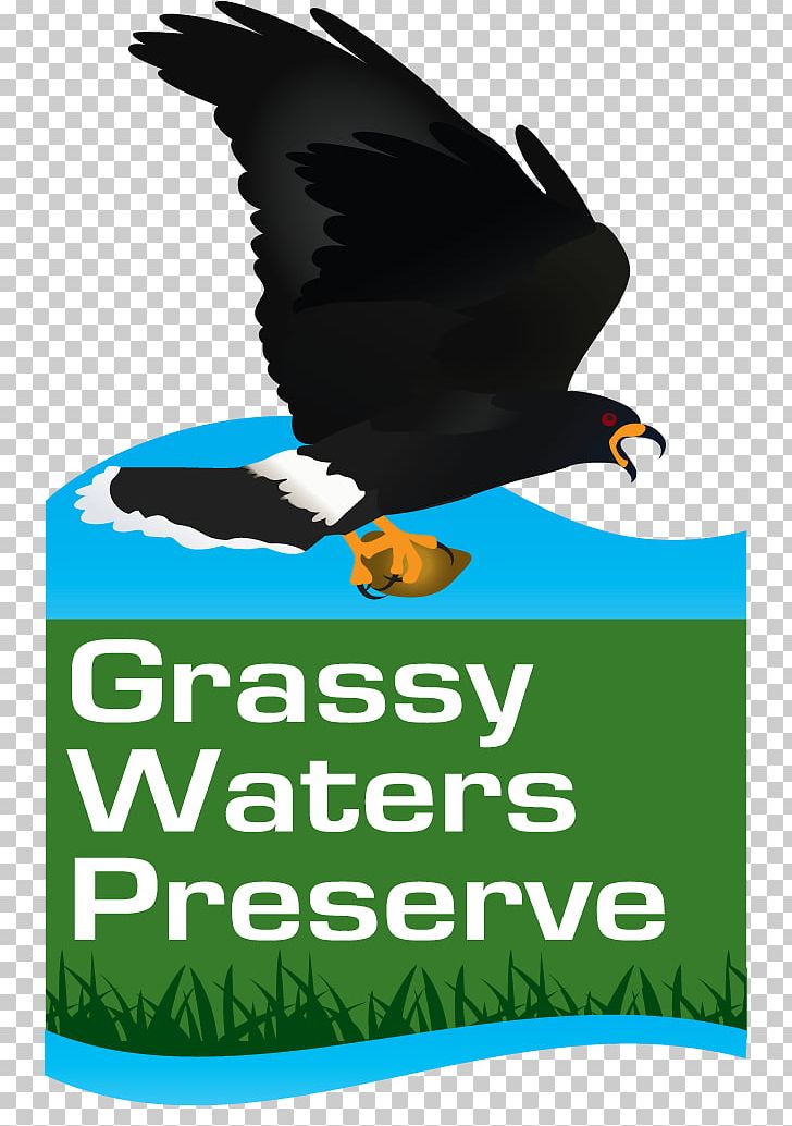 Hog Hammock Trail Everglades Nature Reserve Park PNG, Clipart, Advertising, Beak, Bird, Boardwalk, Brand Free PNG Download