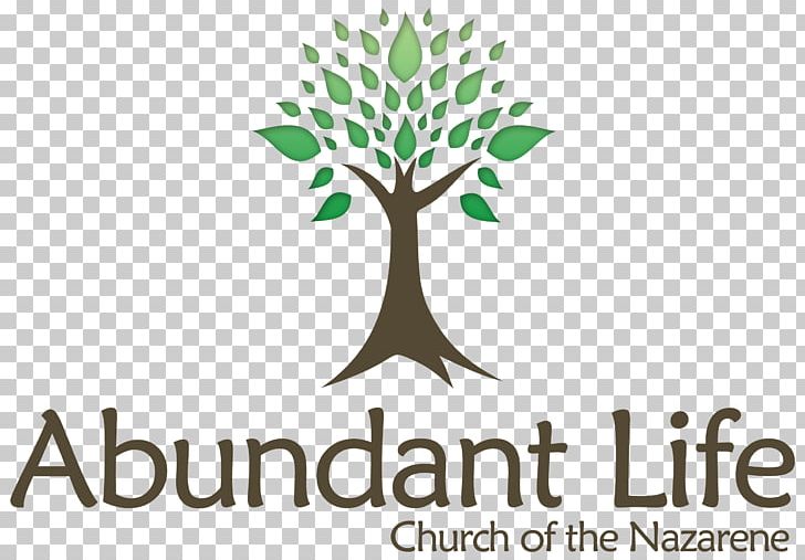Abundant Accounting Pte Ltd Life Presentation Microsoft PowerPoint Information PNG, Clipart, Abundant Accounting Pte Ltd, Brand, Business, Education, Flower Free PNG Download