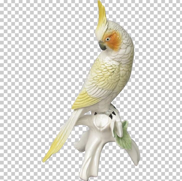 Budgerigar Cockatiel Cockatoo Bird Parakeet PNG, Clipart, Animal, Animal Figure, Animals, Beak, Bird Free PNG Download
