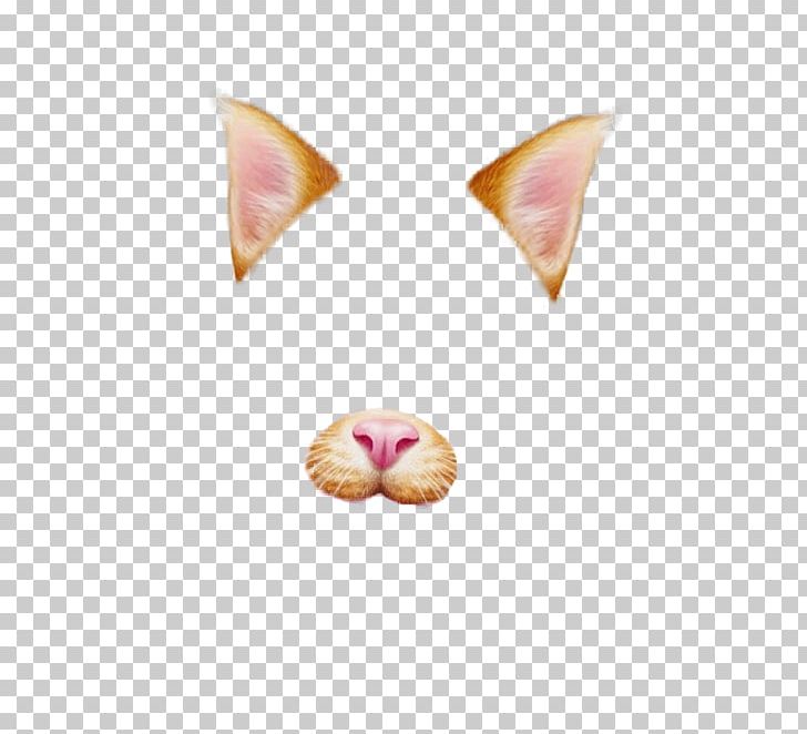 Cat Sticker Photography PNG, Clipart, Animals, Cat, Clip Art, Ear, Editing Free PNG Download