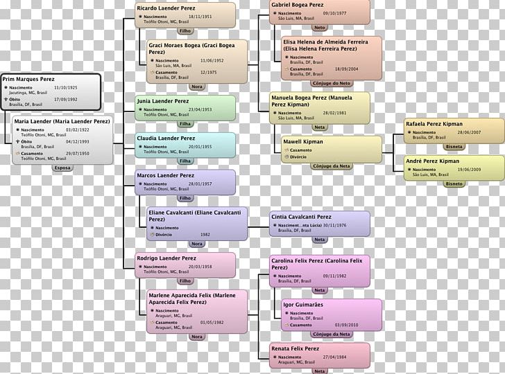 Diagram Family Tree Text PNG, Clipart, Bar Chart, Culture, Diagram, Family, Family Tree Free PNG Download