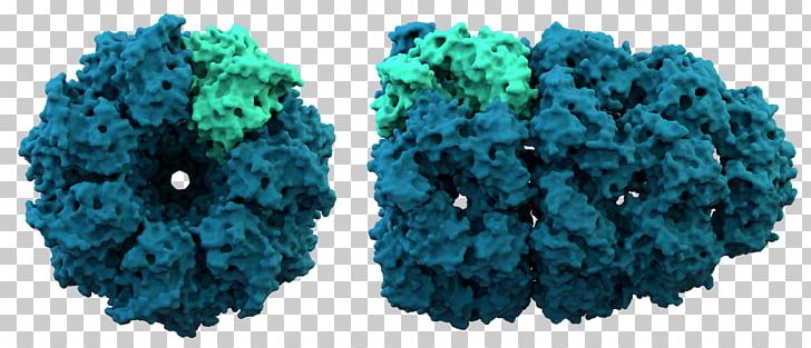 Protein Structure Chaperonin Protein Folding Chaperone PNG, Clipart, Amino Acid, Chaperone, Chaperonin, Crochet, Groel Free PNG Download