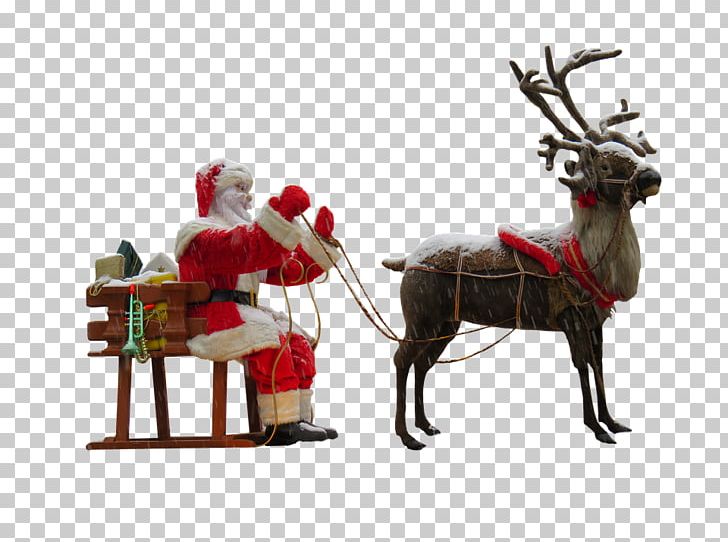 Santa Claus's Reindeer Santa Claus's Reindeer Christmas PNG, Clipart, Christmas, Christmas Decoration, Christmas Ornament, Christmas Tree, Deer Free PNG Download