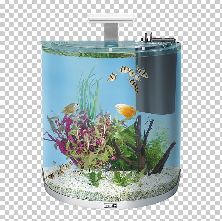 Tetra Aquariums Nano Aquarium Heimtierbedarf PNG, Clipart, Aquarium, Aquarium Decor, Aquariums, Aquatic Plant, Atya Gabonensis Free PNG Download