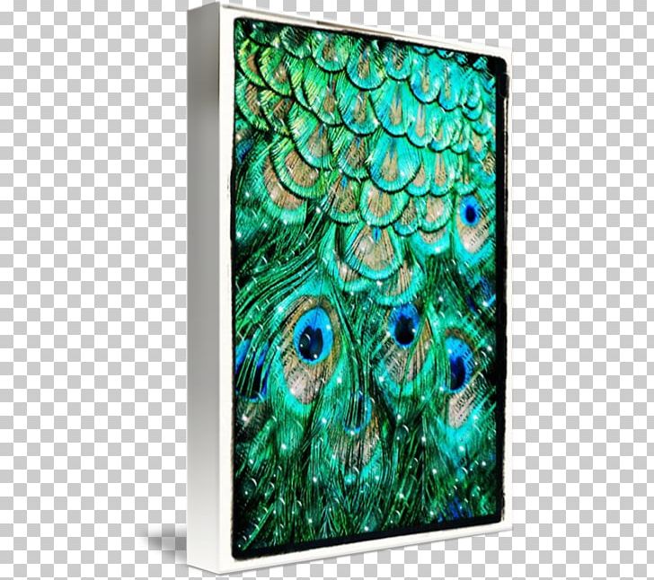 Feather Pavo Italy Tail Bezel PNG, Clipart, Aqua, Art, Bezel, Charms Pendants, Feather Free PNG Download