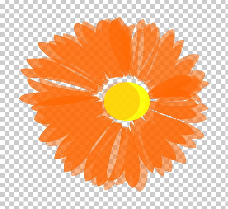 Flower Coral Reef Orange PNG, Clipart, Calendula, Circle, Color, Computer Icons, Coral Free PNG Download