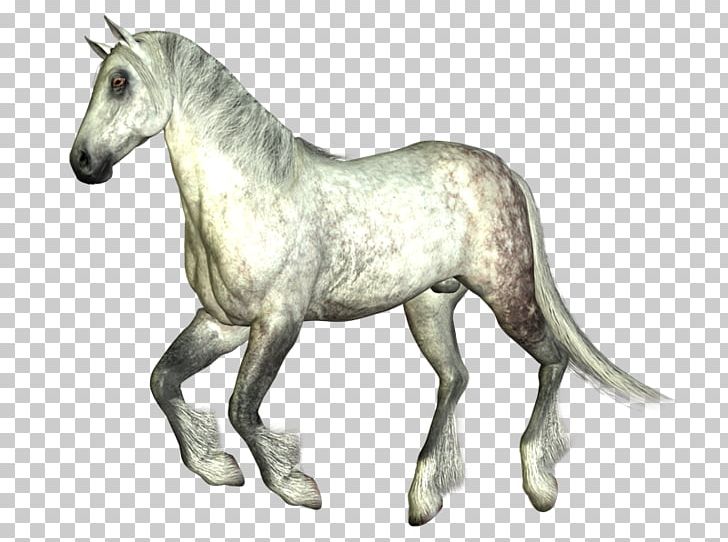 Foal Mustang Pony Mane Stallion PNG, Clipart, Animal, Animal Figure, Colt, Foal, Halter Free PNG Download