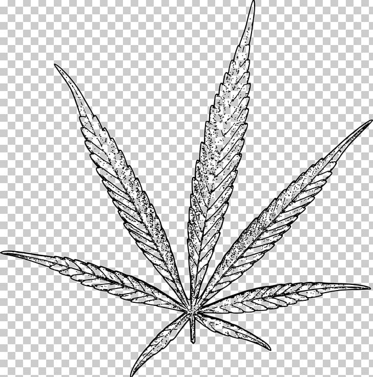 Hash PNG, Clipart, Black And White, Cannabidiol, Cannabinoid, Cannabis, Cannabis Industry Free PNG Download