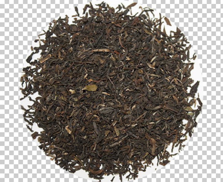 Keemun Oolong Darjeeling Tea Earl Grey Tea PNG, Clipart,  Free PNG Download