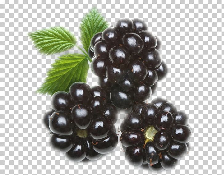 Blackberry Organic Food Gummi Candy Juice Dewberry PNG, Clipart, Bead, Berry, Blackberry, Boy, Food Free PNG Download