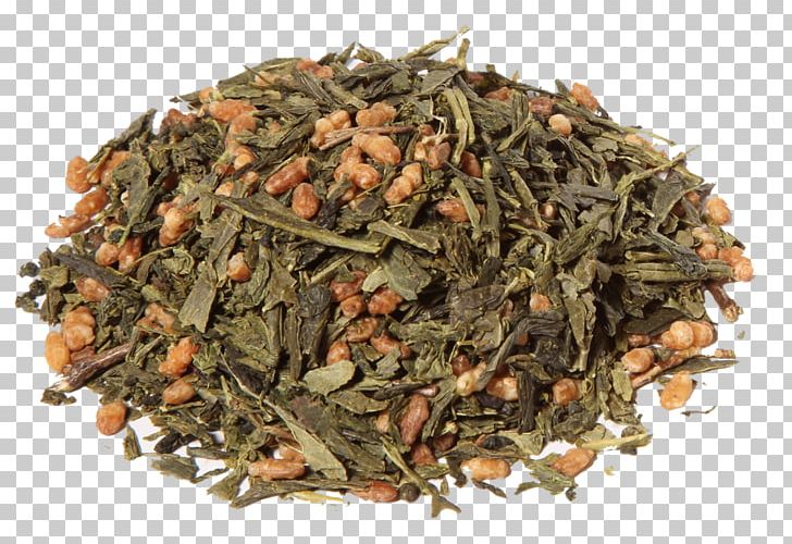 Genmaicha Green Tea Hōjicha Sencha PNG, Clipart, Assam Tea, Bancha, Brown Rice, Brown Rice Tea, Ceylon Tea Free PNG Download