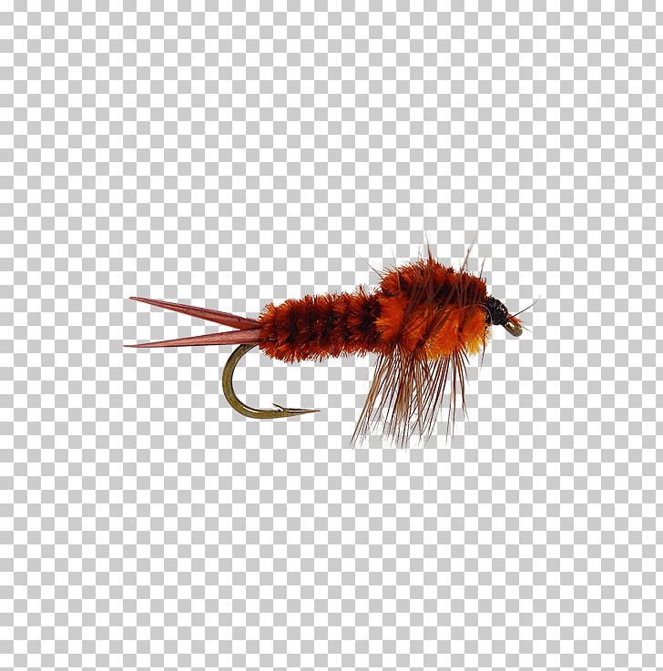 Holly Flies Insect Nymph Artificial Fly Orange PNG, Clipart, Animals, Arthropod, Artificial Fly, Average, Bitch Creek Free PNG Download