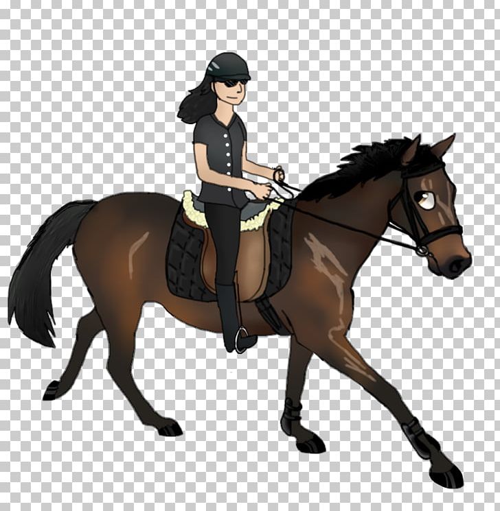 Horse Hunt Seat Bridle Star Stable Stallion PNG, Clipart, Bridle, Digital Art, English Riding, Equestrian, Halter Free PNG Download