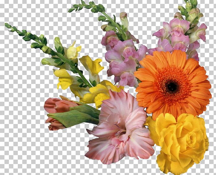Border Flowers Desktop PNG, Clipart, Annual Plant, Artificial Flower, Daisy Family, Desktop Wallpaper, Floral Design Free PNG Download