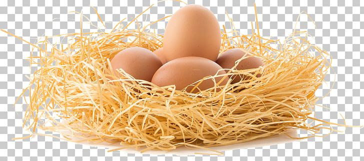Full Control - Golden Eggs With Nest Logo - Free Transparent PNG Clipart  Images Download