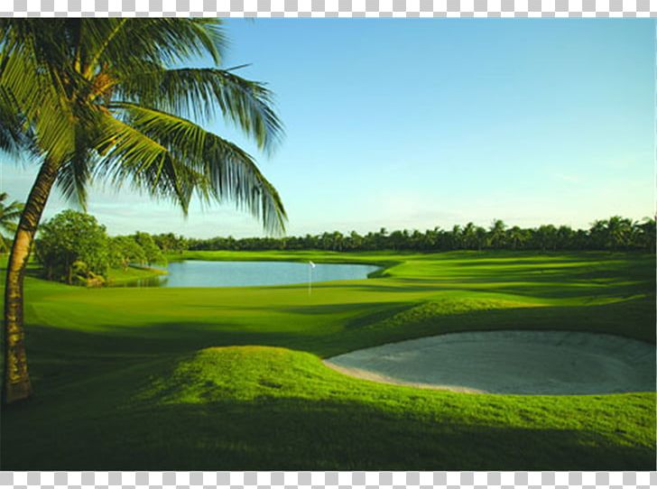 Pinebrook Ironwood Golf Course Anna Maria Island Old Palm Golf Club PNG, Clipart, Anna Maria Island, Country Club, Florida, Fore, Golf Free PNG Download