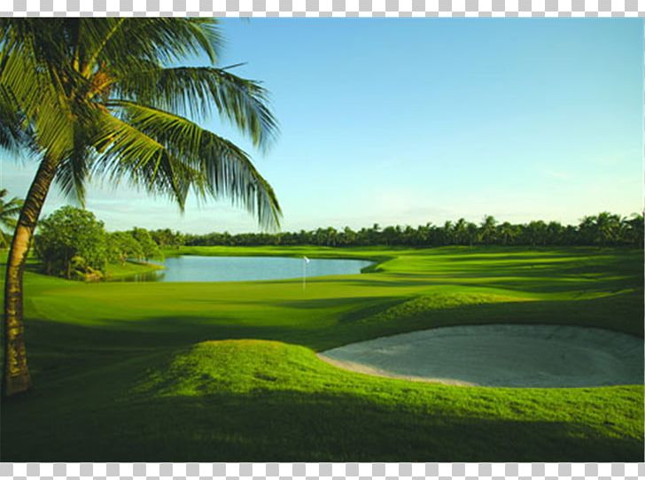 Pinebrook Ironwood Golf Course Anna Maria Island Old Palm Golf Club PNG