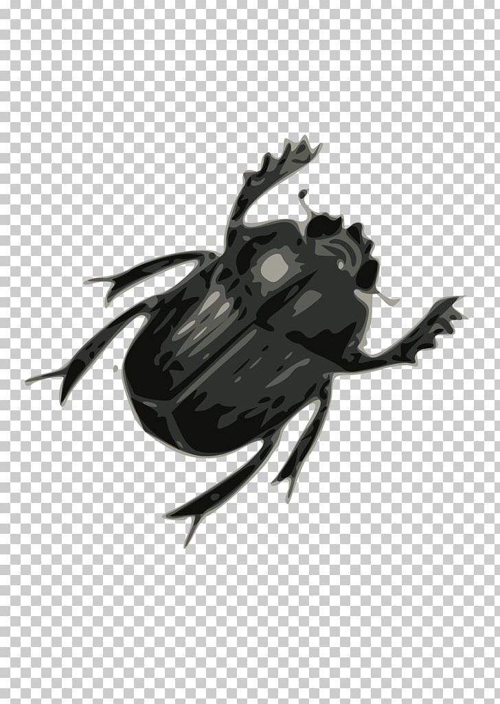 Beetle PNG, Clipart, Arthropod, Beetle, Black And White, Bug, Catapillar Free PNG Download