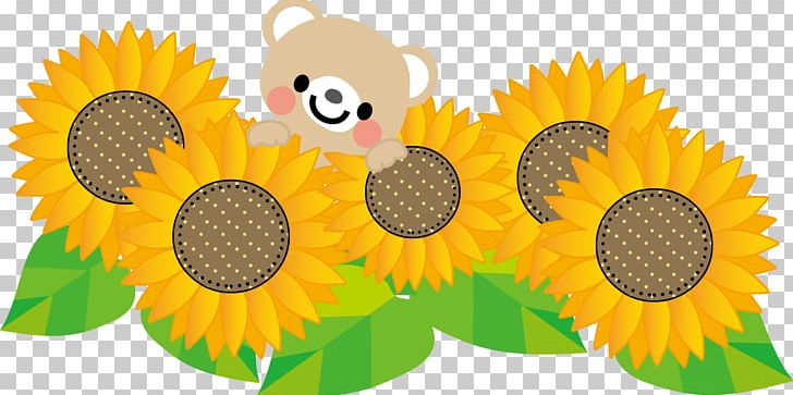 Common Sunflower Summer Sunflower Seed Shochū Omimai Mōshiagemasu PNG, Clipart, Bon Festival, Common Sunflower, Cropping, Daisy Family, Flower Free PNG Download