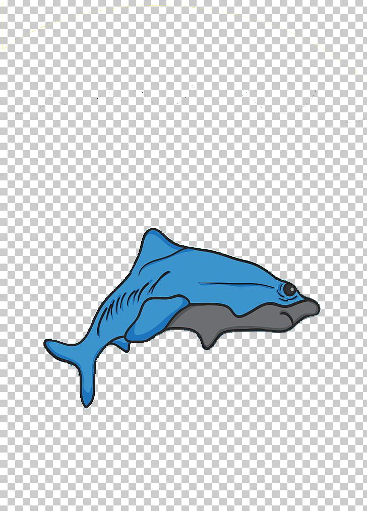 Dolphin Illustration PNG, Clipart, Animals, Blue, Blue Whale, Cartilaginous Fish, Cartoon Whale Free PNG Download