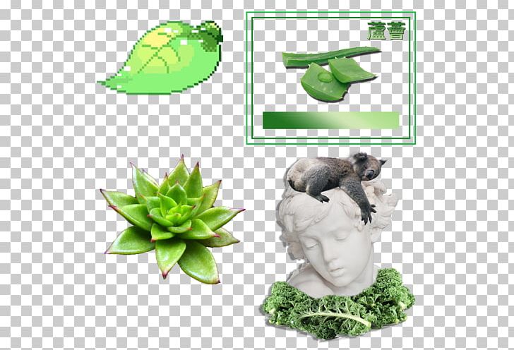 Drawing Portable Network Graphics Editing Thallophyte PNG, Clipart, Aesthetic, Aesthetics, Aesthetic Vaporwave, Algae, Aloe Vera Free PNG Download