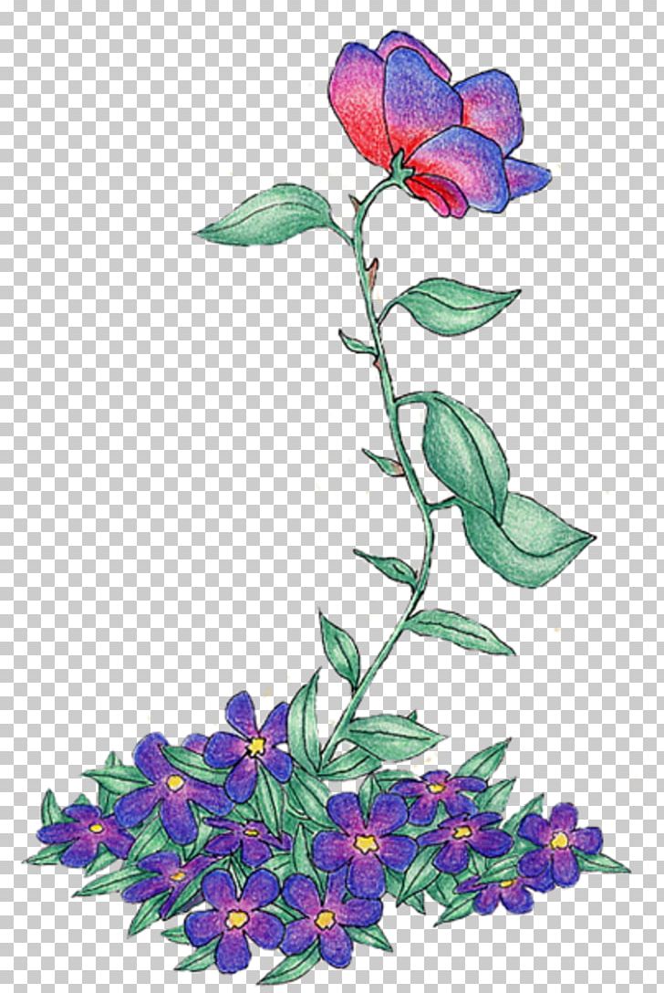 Floral Design Cut Flowers Violet Rose Family PNG, Clipart, Ambitious, Art, Branch, Cut Flowers, Flora Free PNG Download