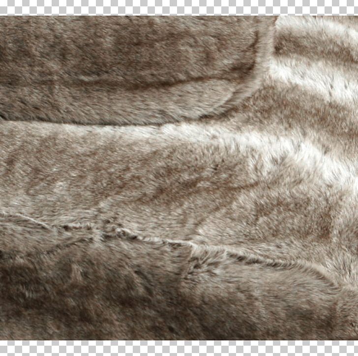 Centimeter Dog Fur Snout Germany PNG, Clipart, Accommodation, Beige, Brown, Centimeter, Color Free PNG Download