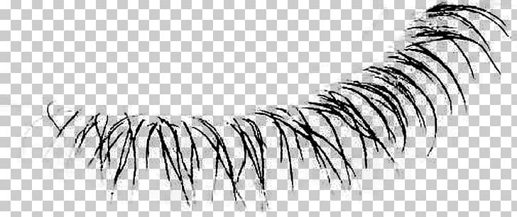 Eyelash Extensions Line Art Eyebrow PNG, Clipart, Anastasia, Art, Artificial Hair Integrations, Black And White, Drawing Free PNG Download