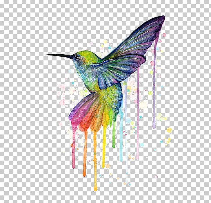 Hummingbird Printmaking Watercolor Painting Canvas Print PNG, Clipart, Art, Artist, Beak, Bird, Canvas Free PNG Download
