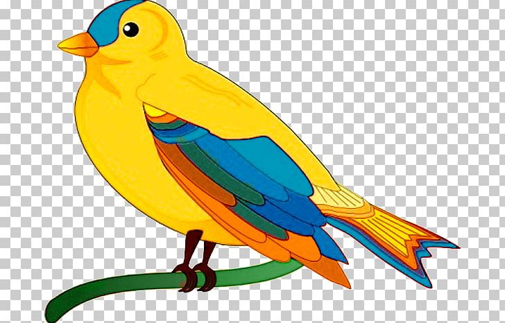 Lovebird PNG, Clipart, Animals, Art, Artwork, Beak, Bird Free PNG Download