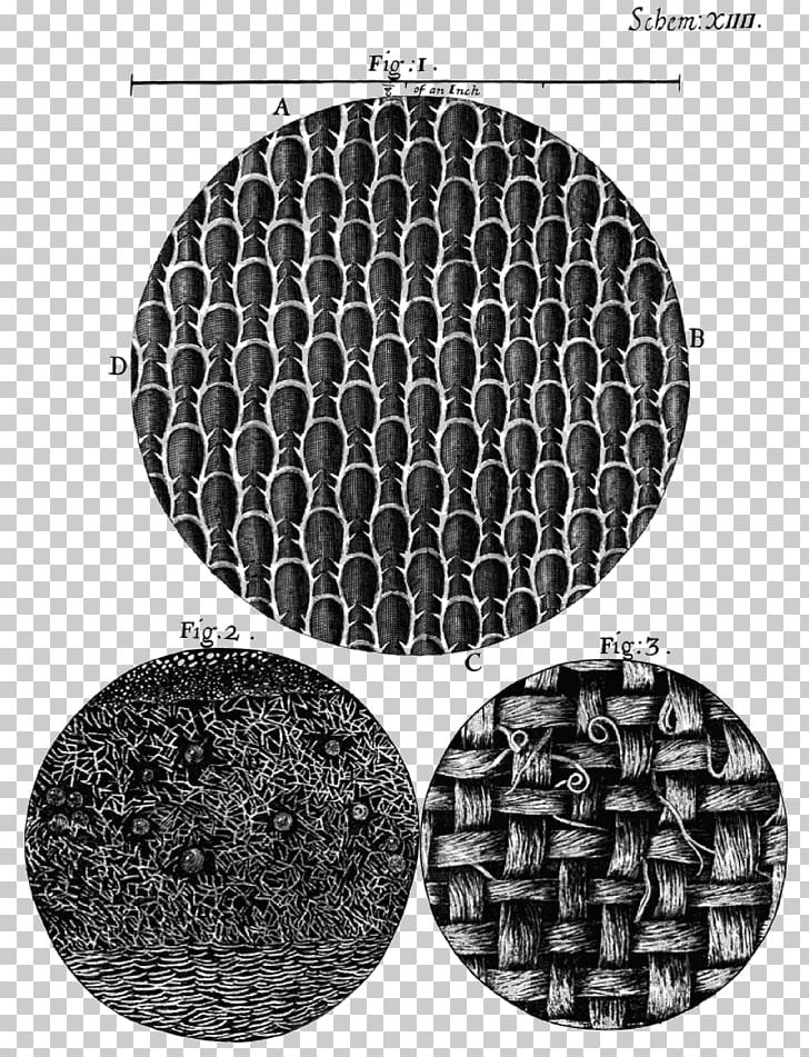 Micrographia Or Some Physiological Descriptions Of Minute Bodies Flustra Foliacea The Curious Life Of Robert Hooke: The Man Who Measured London Philosophical Experiments And Observations PNG, Clipart,  Free PNG Download