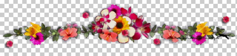 Flower Cut Flowers Plant Petal Magenta PNG, Clipart, Cut Flowers, Flower, Magenta, Paint, Petal Free PNG Download