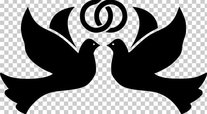 Columbidae Computer Icons Bird Desktop PNG, Clipart, Animals, Beak, Bird, Black And White, Columbidae Free PNG Download