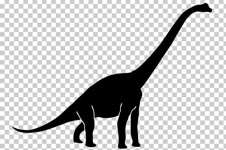Diplodocus Tyrannosaurus Brachiosaurus Apatosaurus Dinosaur PNG, Clipart, Ankylosaurus, Apatosaurus, Black And White, Brachiosaurus, Cat Free PNG Download