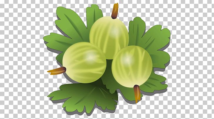 Gooseberry Fruit Vegetable PNG, Clipart, Amla, Avocado, Berry, Cake, Food Free PNG Download