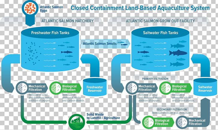 Water Recirculating Aquaculture System Sustainability Farm PNG, Clipart, Agriculture, Aquaculture, Brand, Farm, Fish Free PNG Download