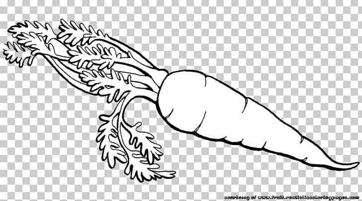 Carrot Vegetable Fruit PNG, Clipart, Arm, Arracacia Xanthorrhiza, Art, Artwork, Balck And White Free PNG Download