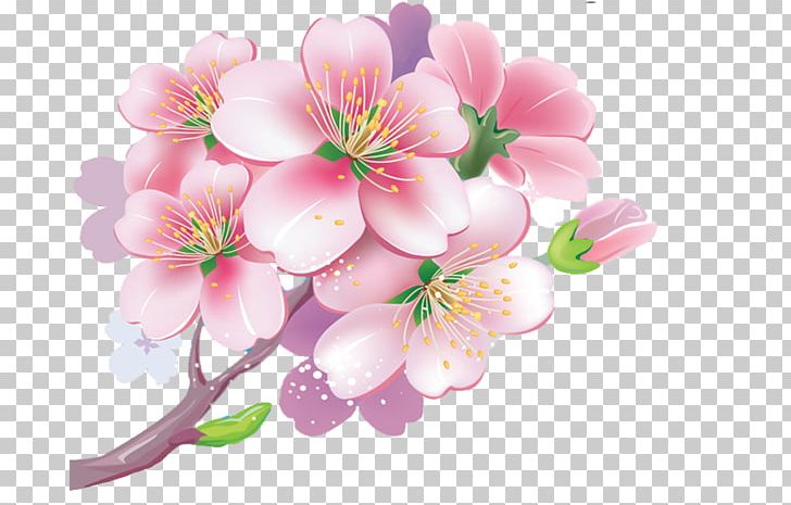 Cherry Blossom Натяжна стеля PNG, Clipart, Blossom, Branch, Cabinetry, Cherry Blossom, Company Free PNG Download