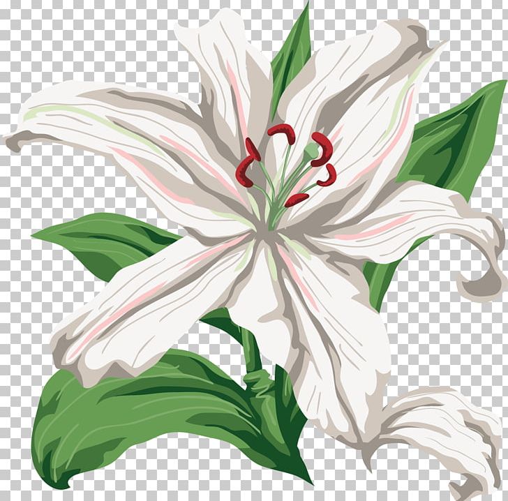Lilium Cut Flowers PNG, Clipart, Cut Flowers, Daylily, Encapsulated Postscript, Flower, Flowering Plant Free PNG Download