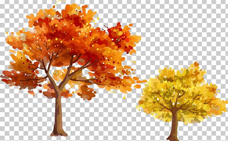 Autumn Tree Leaf PNG, Clipart, Branch, Computer Wallpaper, Deciduous, Fall Leaves, Happy Birthday Vector Images Free PNG Download
