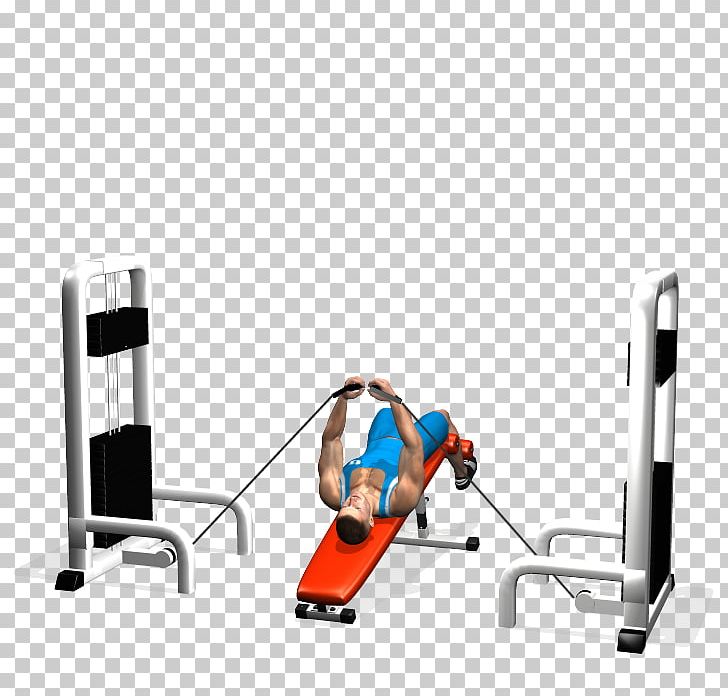 Fly Bench Press Pectoralis Major Muscle PNG, Clipart, Angle, Barbell, Bench, Bench Press, Chest Muscle Free PNG Download