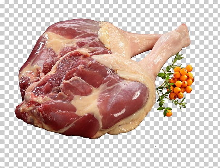 Ham Anser Goose Meat Food PNG, Clipart, Animals, Animal Source Foods, Anser, Back Bacon, Bayonne Ham Free PNG Download