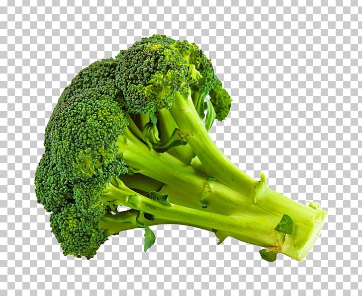 Broccoli Vegetarian Cuisine Vegetable Cauliflower Food PNG, Clipart, Broccoli, Cauliflower, Food, Fruit, Leaf Vegetable Free PNG Download