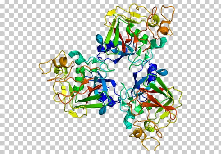 FCN1 Fibrinogen Protein Ficolin Single-nucleotide Polymorphism PNG, Clipart, 2 D, Artwork, Collagen, Creactive Protein, Cterminus Free PNG Download