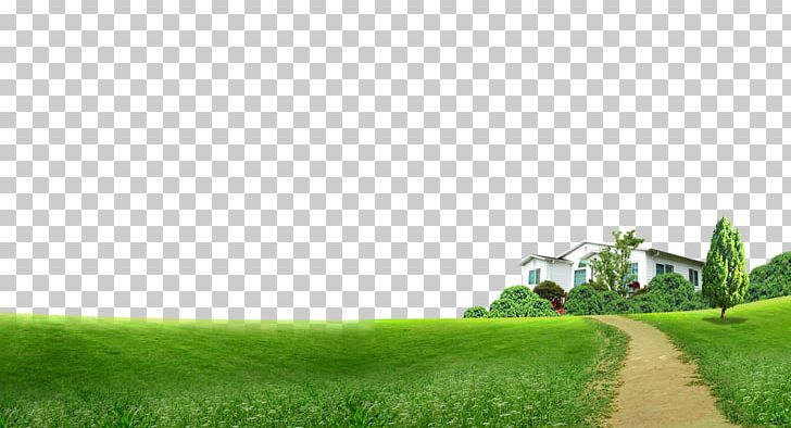 Lawn Grass Computer File PNG, Clipart, Architecture, Bucolic, Build, Building, Buildings Free PNG Download