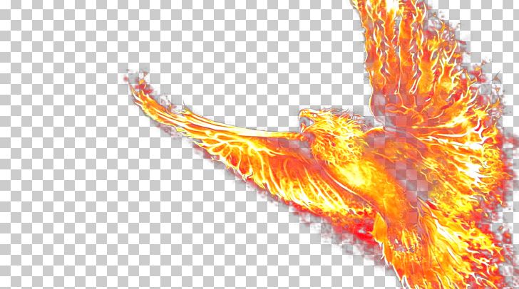 Phoenix PNG, Clipart, At Last, Computer Software, Computer Wallpaper, Decorative Patterns, Desktop Wallpaper Free PNG Download