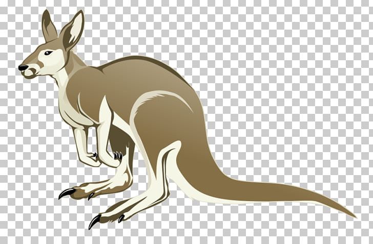 Kangaroo PNG, Clipart, Animals, Cartoon, Computer Icons, Document, Download Free PNG Download